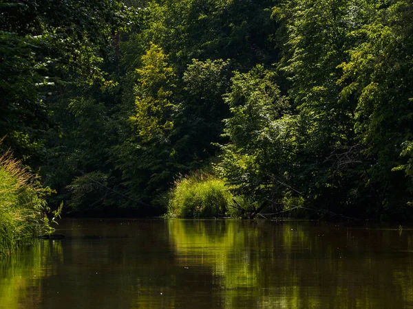 Vacation on the forest river. Maliy Kundish river, Mari El republic, Russia