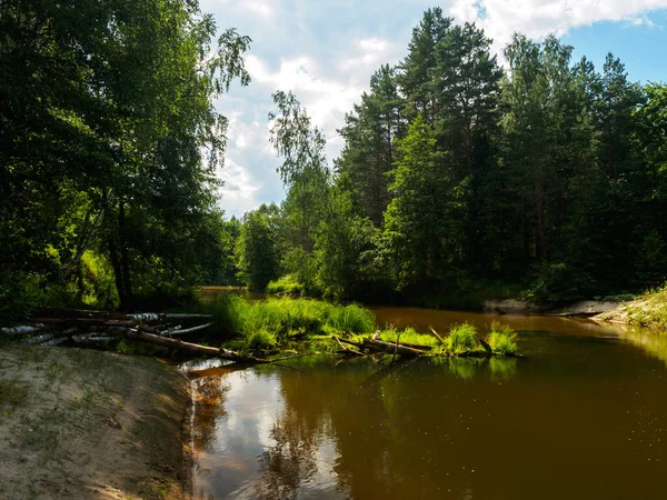 Vacation on the forest river. Maliy Kundish river, Mari El republic, Russia