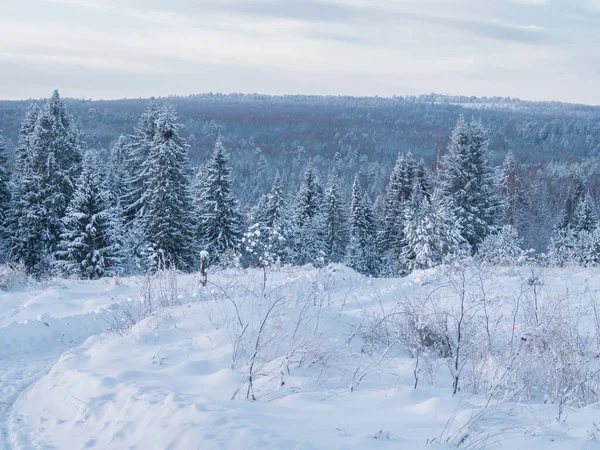 Beautiful landscape with road and conifer forest on snowy winter day on the Stone Hill, Mari El Republic Russia