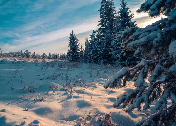 Frozen nature in fantastic white forest on the Stone Hill, Mari El Republic Russia