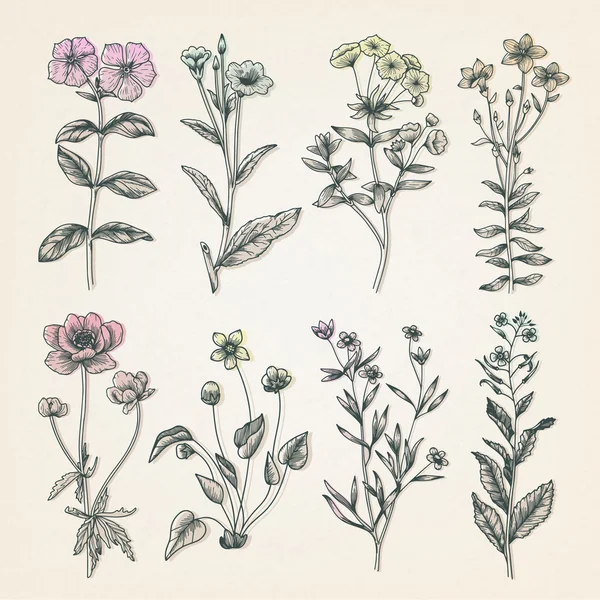 Ilustración floral vintage — Archivo Imágenes Vectoriales