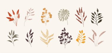 Doğal renklerde farklı dokulara sahip modaya uygun bitkiler.