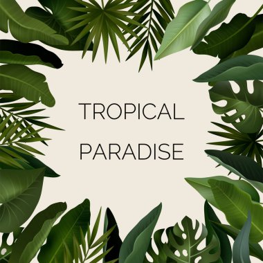 Orman bitkilerinin tropik arka planı. Palmiye yapraklı egzotik desen. Vektör illüstrasyonu