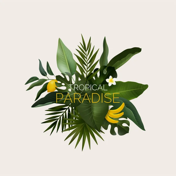 ジャングル植物と熱帯の背景 ヤシの葉を持つエキゾチックなパターン ベクターイラスト — ストックベクタ