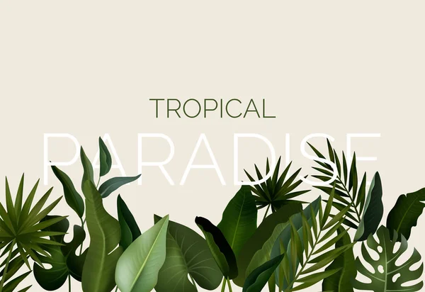 Fond Tropical Avec Des Plantes Jungle Motif Exotique Avec Des — Image vectorielle