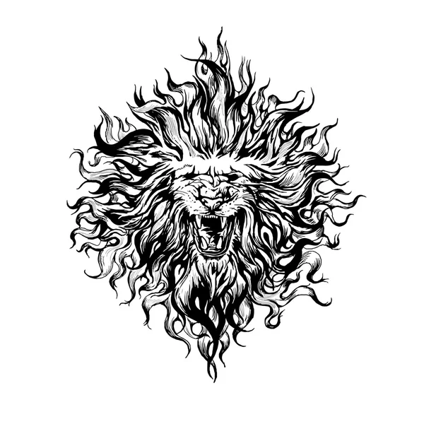 Hand drawn  vintage graphic lion head. — Stock Vector