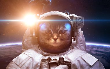 Cesur kedi astronot, uzay yürüyüşü. NASA tarafından döşenmiş bu görüntü öğelerini