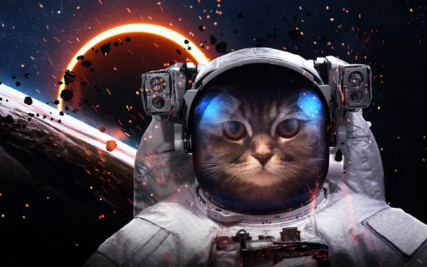 Tapferer Katzen-Astronaut auf dem Weltraumspaziergang. dieses Bildelemente von nasa — Stockfoto