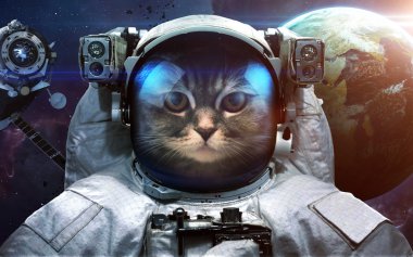 Uzaydaki astronot kedisi. Uzay yürüyüşü. Nasa tarafından döşenmiş bu görüntünün elemanları