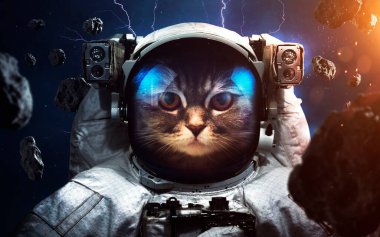 Uzay yürüyüşündeki cesur astronot kedi. Uzaydaki hayvanlar. Bu görüntünün elementleri NASA tarafından desteklenmektedir