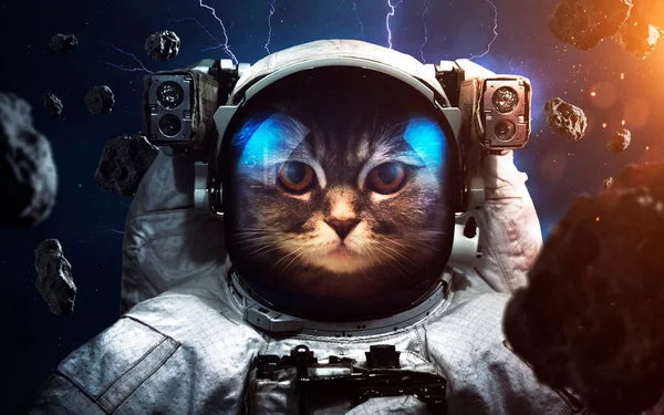 Un coraggioso astronauta gatto alla passeggiata spaziale. Animali nello spazio. Elementi di questa immagine forniti dalla NASA — Foto Stock