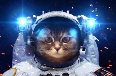 Güzel kedi uzayda. Nasa tarafından döşenmiş bu görüntü unsurları.