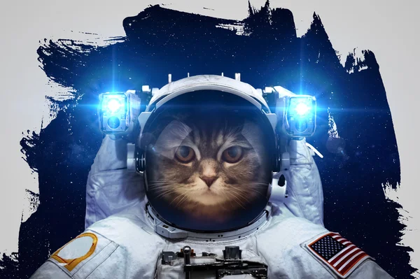 Beautiful cat in outer space. Elements of this image furnished by NASA. — Stock Photo, Image