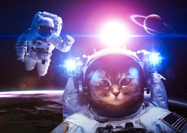 An astronaut cat floats above Earth. Stars provide the backgroun