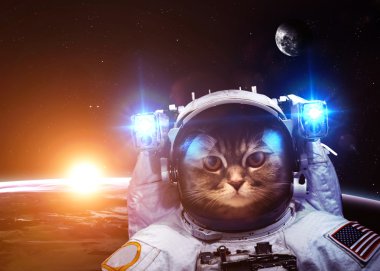 An astronaut cat floats above Earth. Stars provide the backgroun
