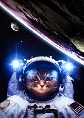 An astronaut cat floats above Earth. Stars provide the backgroun
