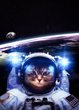 An astronaut cat floats above Earth. Stars provide the backgroun