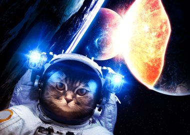 An astronaut cat floats above Earth. Stars provide the backgroun