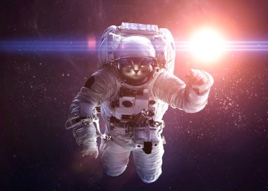 Beautiful cat in outer space. Elements of this image furnished b