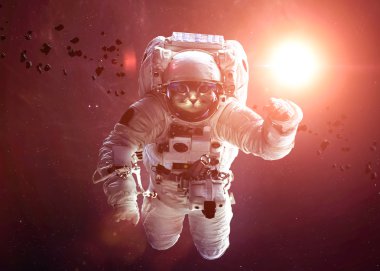 Beautiful cat in outer space. Elements of this image furnished b