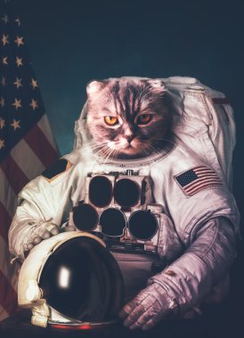 Beautiful cat astronaut. Elements of this image furnished by NAS