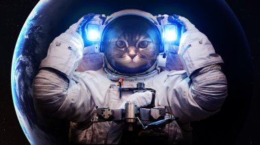 Güzel kedi uzayda. Nasa tarafından döşenmiş bu görüntü unsurları.