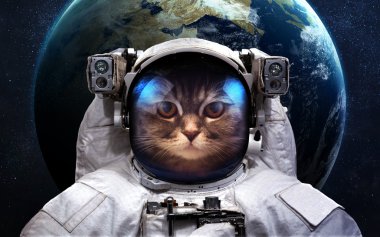 Kedi astronot uzayda. Uzay yürüyüşü. Nasa tarafından döşenmiş bu görüntü unsurları