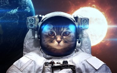 Kedi astronot uzayda. Uzay yürüyüşü. Nasa tarafından döşenmiş bu görüntü unsurları