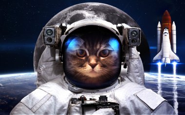 Kedi astronot uzayda. Uzay yürüyüşü. Nasa tarafından döşenmiş bu görüntü unsurları