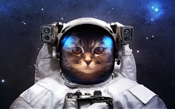 Tapferer Katzen-Astronaut auf dem Weltraumspaziergang. dieses Bildelemente von nasa. — Stockfoto