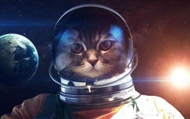 Cesur kedi astronot, uzay yürüyüşü. NASA tarafından döşenmiş bu görüntü öğelerini