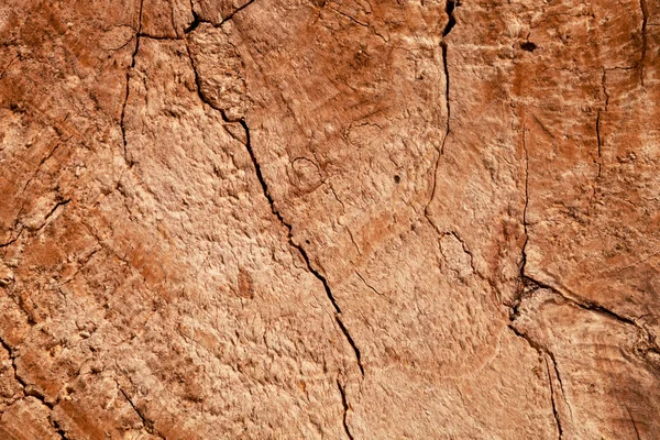 Textura de madeira — Fotografia de Stock