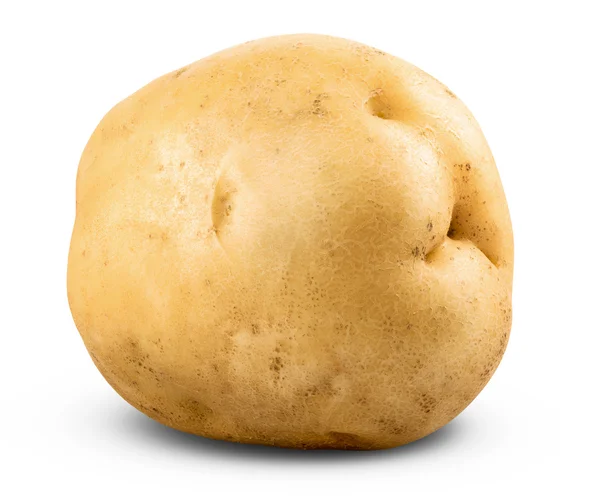 Aardappel geïsoleerd — Stockfoto