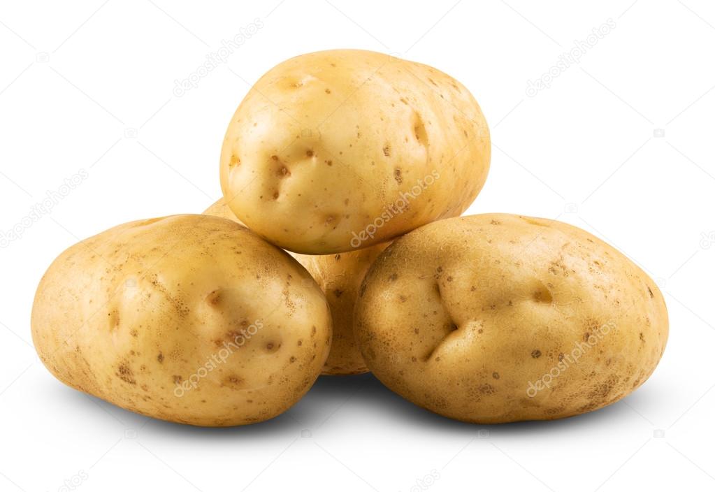 potato isolated 