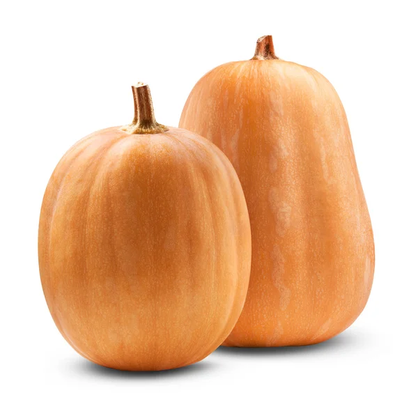 Big pumpkin — Stock Photo, Image