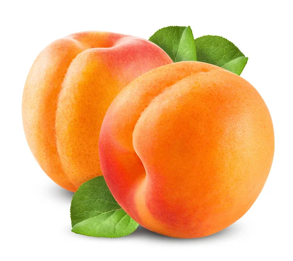 Fresh apricot — Stock Photo, Image