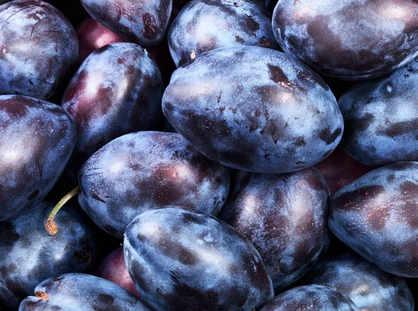 Healthy plums — Stock Photo, Image