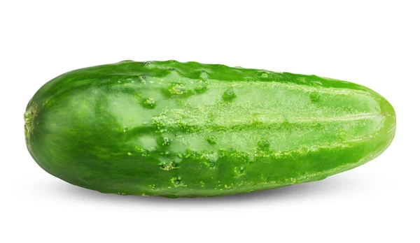 Cucumber — Stock Photo, Image