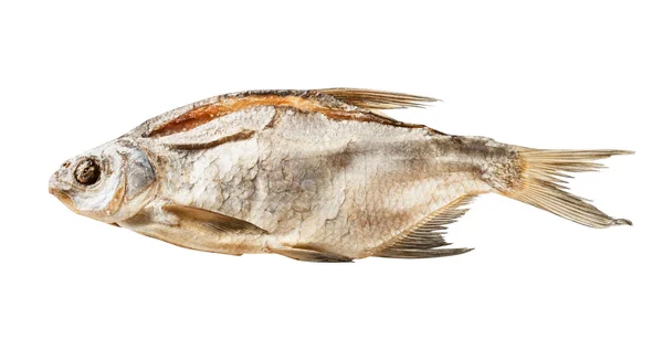 Dry fish — Stock Photo, Image