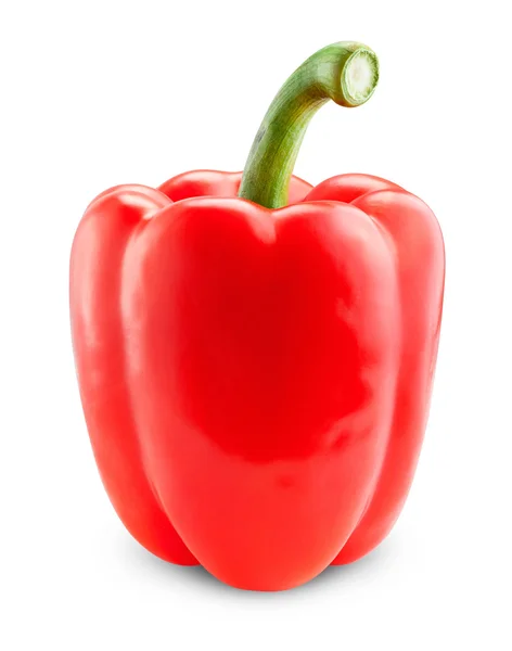 Fresh red peppers — Stock Photo, Image