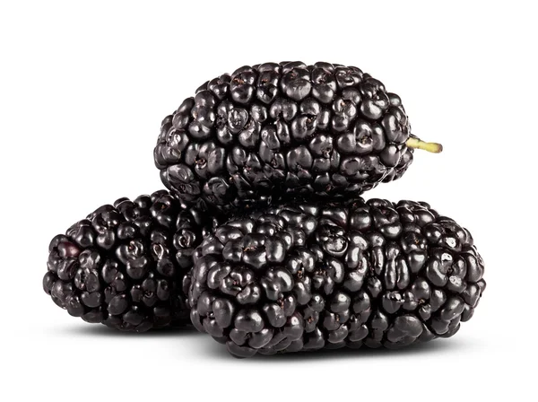 Färska mulberry — Stockfoto