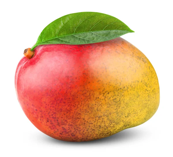 Fresh mango — Stock Photo, Image