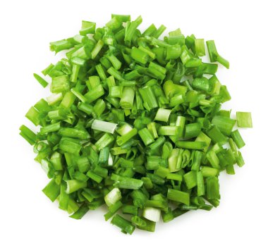 green onions clipart