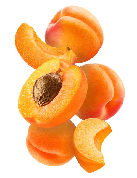 Segment abrikozen — Stockfoto