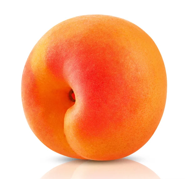 Apricot fruit — Stock Photo, Image