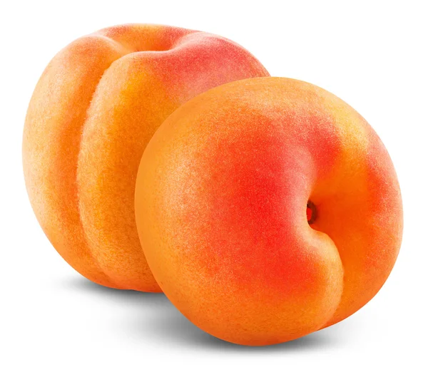 Apricot fruit — Stock Photo, Image