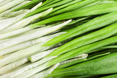 yeşil yabani sarımsak