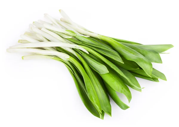 Green wild garlic — Stock Photo, Image