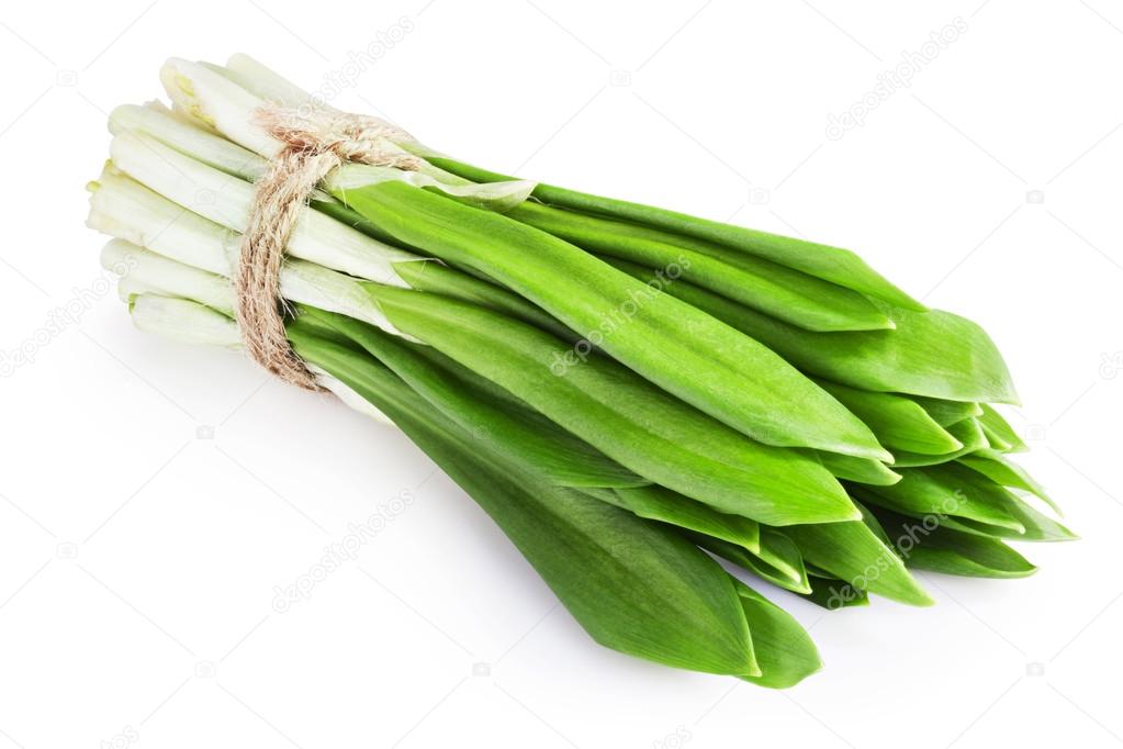 green wild garlic