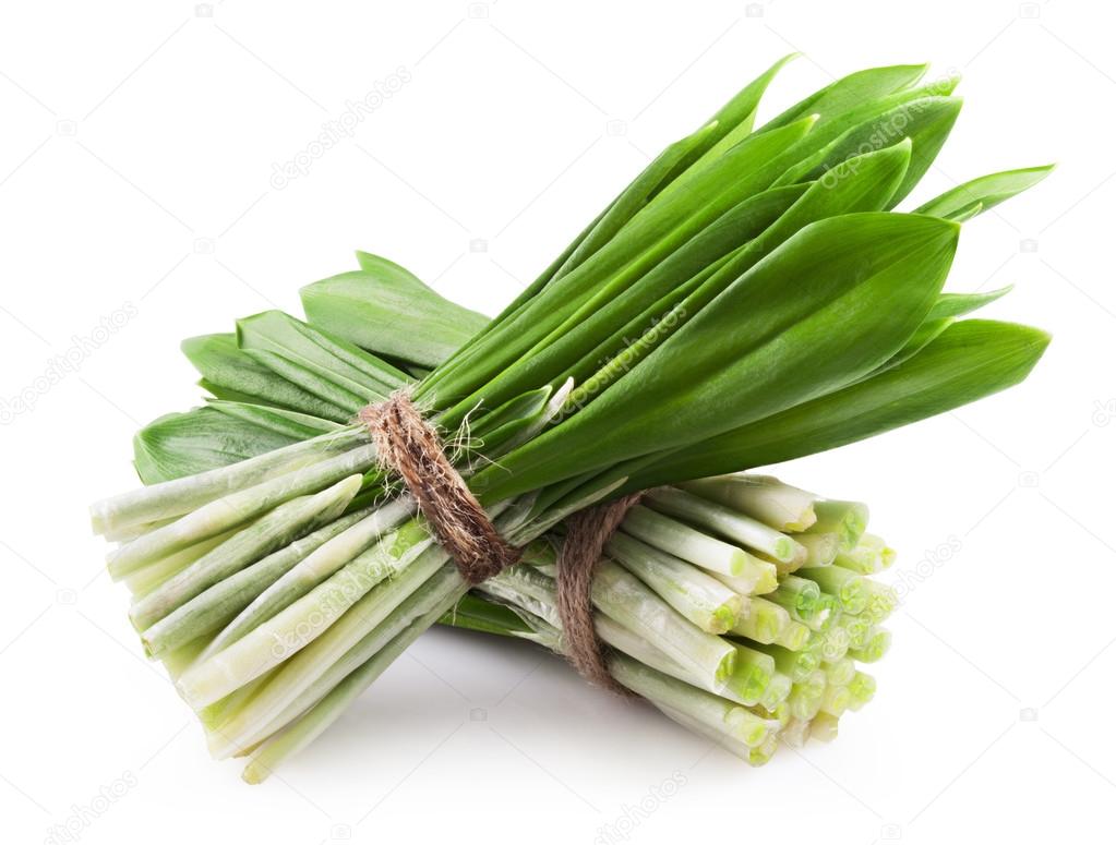 green wild garlic